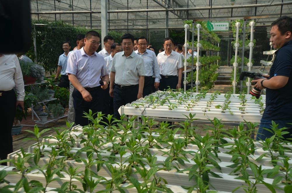 科技助農(nóng)，播撒光的種子  精準(zhǔn)扶貧，助力鄉(xiāng)村振興