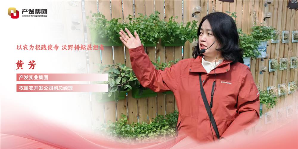巾幗綻芳華 | 產(chǎn)發(fā)實業(yè)集團權(quán)屬農(nóng)開發(fā)公司 黃芳：以農(nóng)為根踐使命，沃野耕耘展擔(dān)當(dāng)
